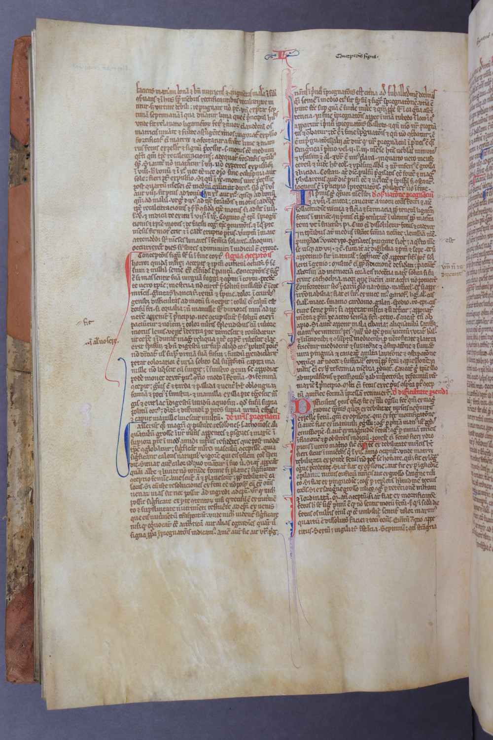 Folio 140 verso